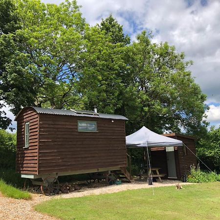 The Shepherds Hut At The Shippen, Tiphayes Honiton Exteriör bild