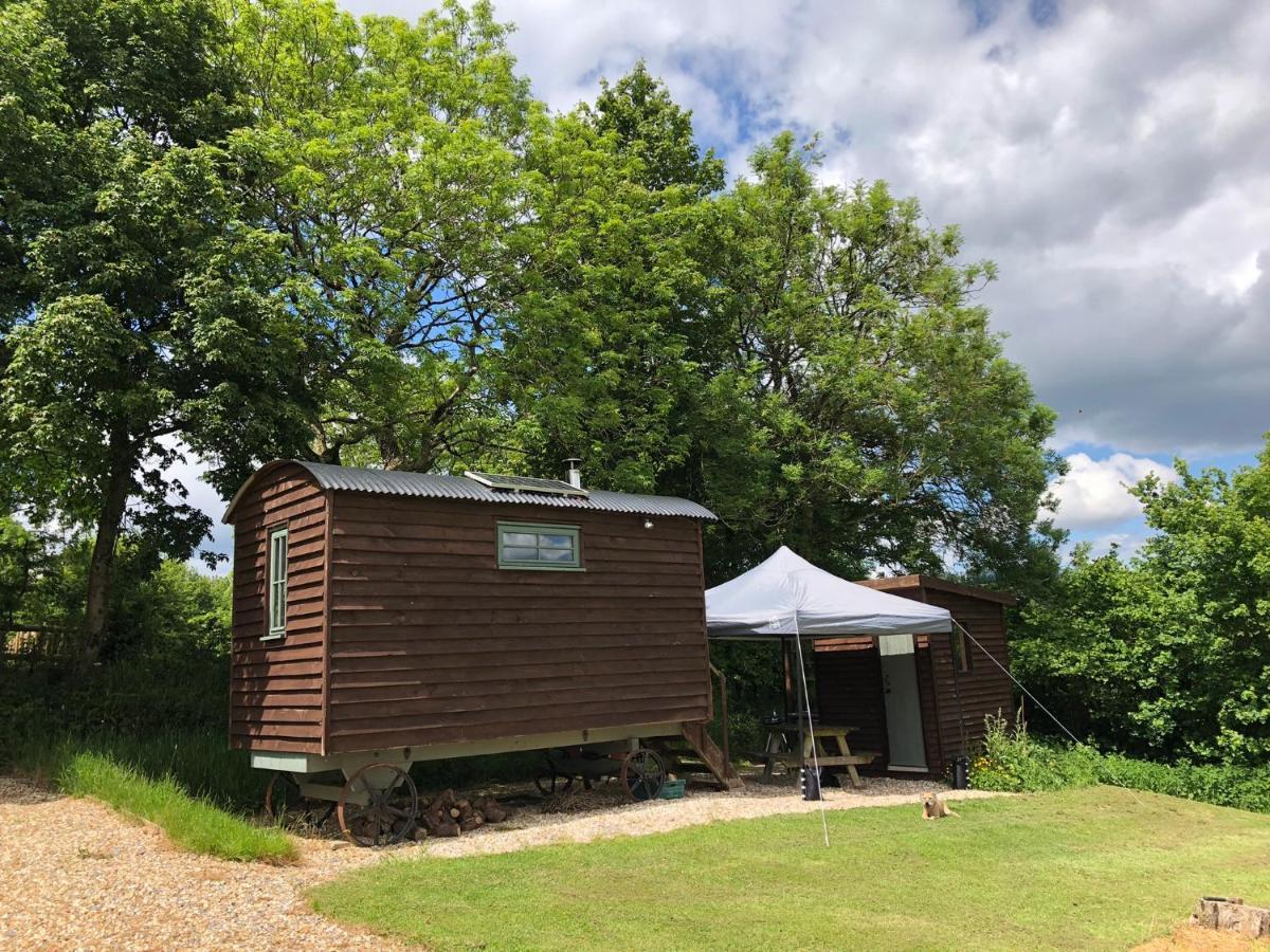 The Shepherds Hut At The Shippen, Tiphayes Honiton Exteriör bild