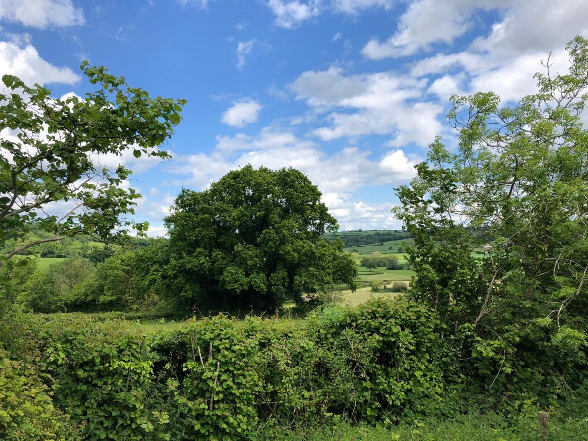 The Shepherds Hut At The Shippen, Tiphayes Honiton Exteriör bild